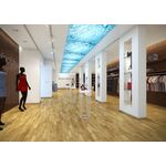 Parquet Oak Amazon Molti