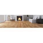 Parquet Oak Excite