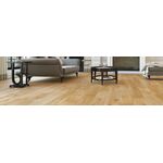 Parquet Oak Joy
