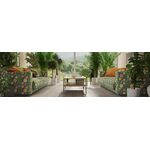 Parquet Oak Marzipan Muffin Grande