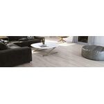 Parquet Ash Platinium Grande
