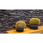 Stegu GRENADA 5, Verblender aus Beton für innen und außen