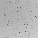 Gips panel INDUSTRIO (avaiable in two sizes)