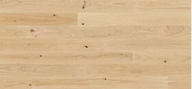 Parquet Oak Delight