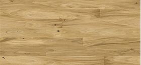 Parquet Oak Caramel Medio