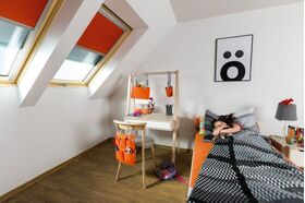 FAKRO FTU-V U4 | triple glazed, polyurethane finished roof window