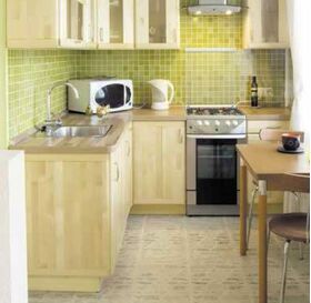 Atlas ATUT | tile adhesive for indoors (C1T, 2-10 mm)