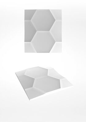 3D Wandpaneele aus Gips HEXAGON (62x72 cm)